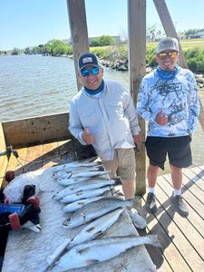 Successful speckled trout fishing trip on wooden dock in Corpus Christi TX with large catch displayed