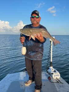 Angler fishing in Corpus Christi