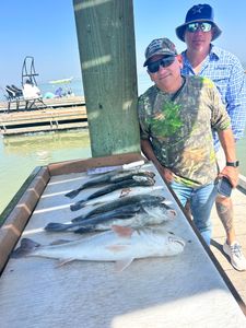 Two big fish caught in Corpus Christi