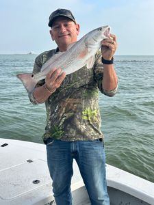 Redfish caught in TX