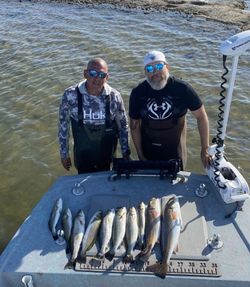 8 redfish caught while fishing in TX
