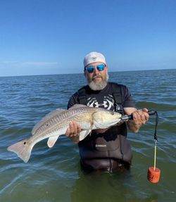Redfish caught while fishing in TX