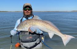 Redfish caught while fishing in TX