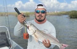 Redfish caught fishing in Corpus Christi
