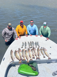 6 redfish caught in Corpus Christi, Texas