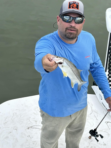 A lone snook fish caught on the TX coast