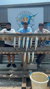 Eight speckled trout displayed on wooden dock after successful fishing trip in Corpus Christi TX