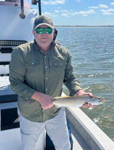 Spotted Weakfish caught while fishing in TX