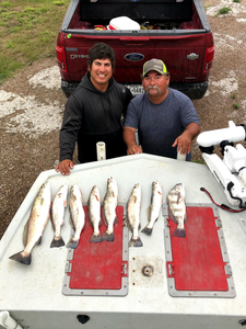7 spotted weakfish caught fishing in TX