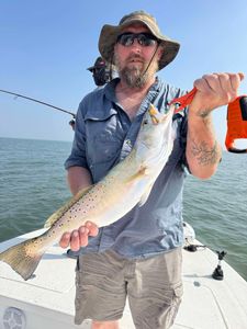 Spotted Weakfish, a 20-inch fish, caught while fishing in TX.