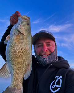 Smallmouth bass, 17-inch fishing catch in WA