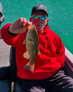 Smallmouth Bass caught while fishing in Port Orchard