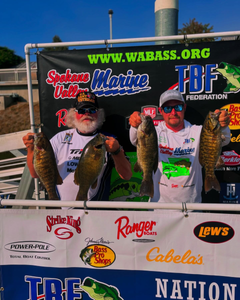 Four smallmouth bass caught fishing at Port Orchard