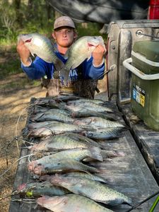 6 white crappie fish caught on a fishing trip in Oxford