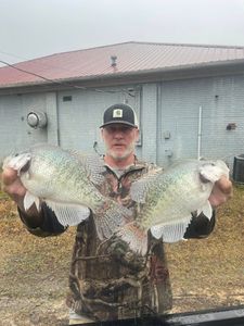 Two crappie fish caught while fishing in Oxford
