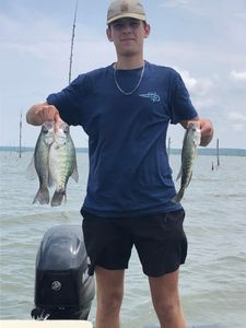 A person fishing with 2 fish in Oxford