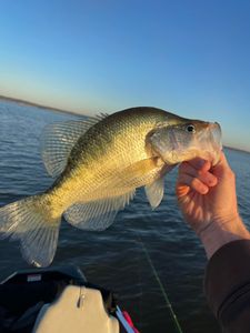 A picturesque fishing scene in Oxford