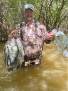 Smallmouth bass caught in Oxford