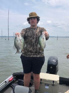 Two white crappie fish caught in Oxford, fishing