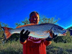 Folly Beach Fishing Charter Thrilling Adventures