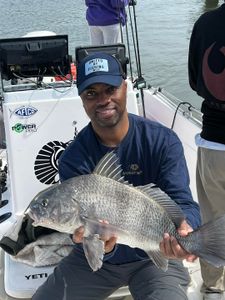 Angler holding a black drum fish caught in SC