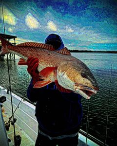 Fishing in SC