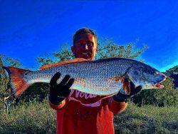 Angler fishing on Folly Beach