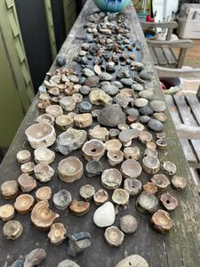 Fishing gear and tackle at Folly Beach