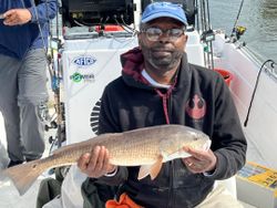 Redfish caught at Folly Beach