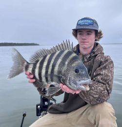 Sheepshead fish caught while fishing in South Carolina