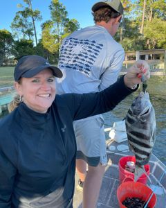 Sheepshead fish caught fishing in SC
