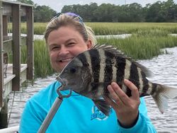 Sheepshead fish caught on fishing trip at Folly Beach