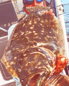 A southern flounder fish caught in SC