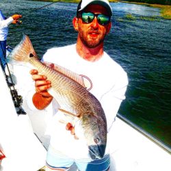 A lone angler reeling in a great catch in SC