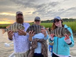 Three sheepshead fish caught at Folly Beach