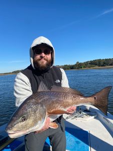 Whiting, a 35-inch fish, caught at Folly Beach while fishing.