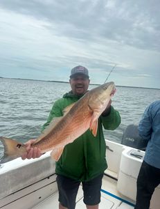 Florida Redfish Delights