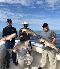 4 redfish caught in FL