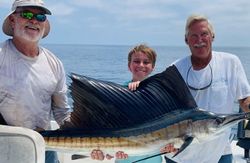 A mighty Atlantic Sailfish caught in Florida
