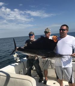 Photograph of a blue marlin fish caught by 3 people in Fernandina Beach