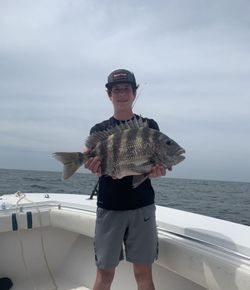 Sheepshead fish caught in Fernandina Beach