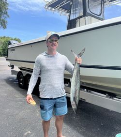 Caught a spotted weakfish while fishing at Fernandina Beach
