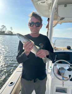 Angler fishing in Manteo