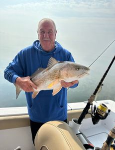 A single black drum fish caught in North Carolina