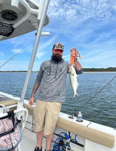 Bluefish caught by two anglers in Manteo