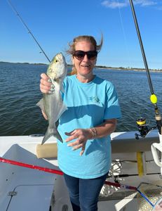 Bluefish caught in Manteo