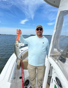A bluefish caught during a fishing trip in NC