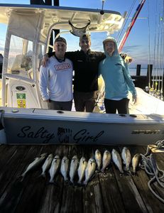 6 bluefish caught while fishing in NC