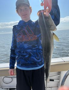 Single fisherman in North Carolina catching fish