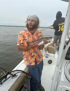 Spotted Weakfish, 14 inches, caught at Manteo